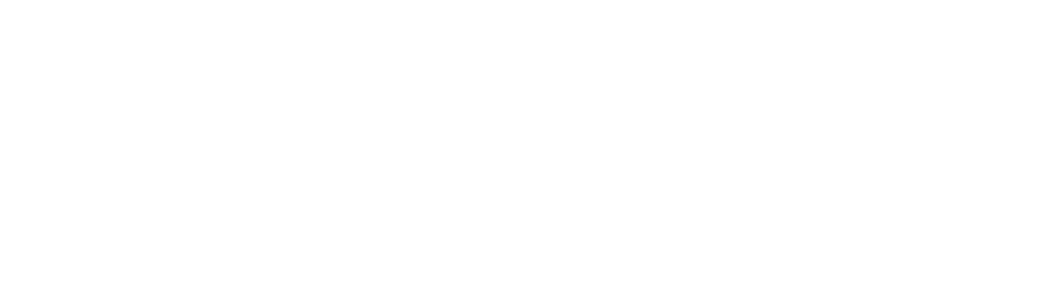Lionshield Insurance Services
